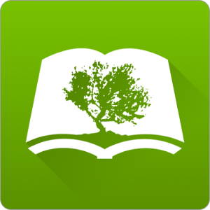 Bible by Olive Tree